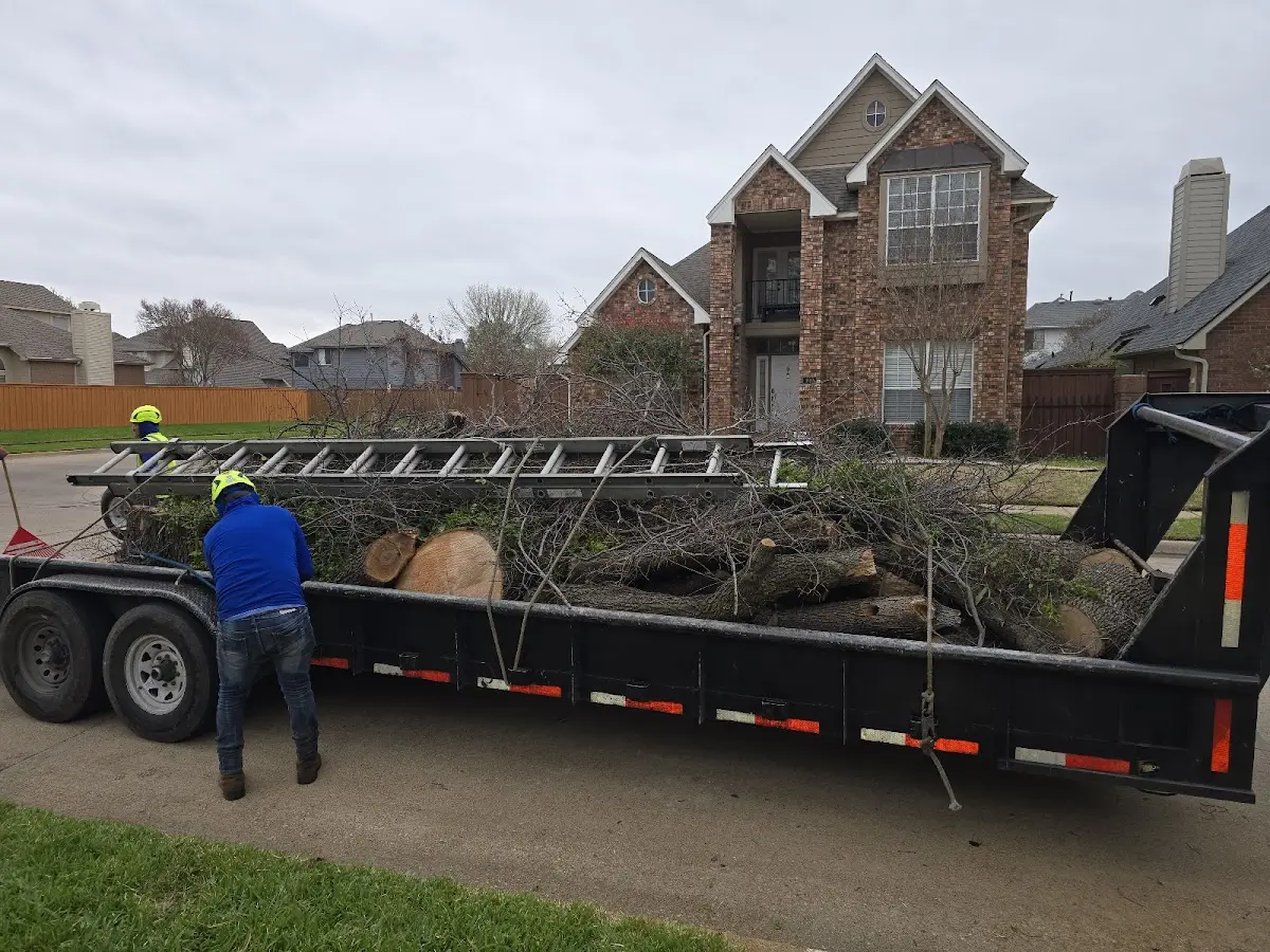 Expert Lot Clearing with proper safety equipment in Lilburn